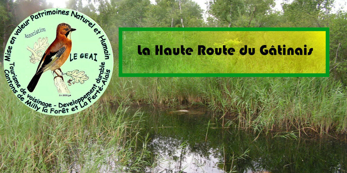 La Haute Route du Gâtinais (Le Geai)