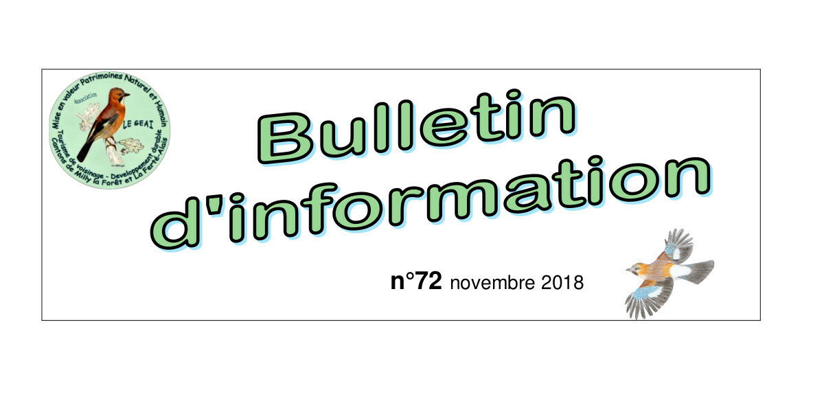 bulletin d'information n°72 de novembre 2018