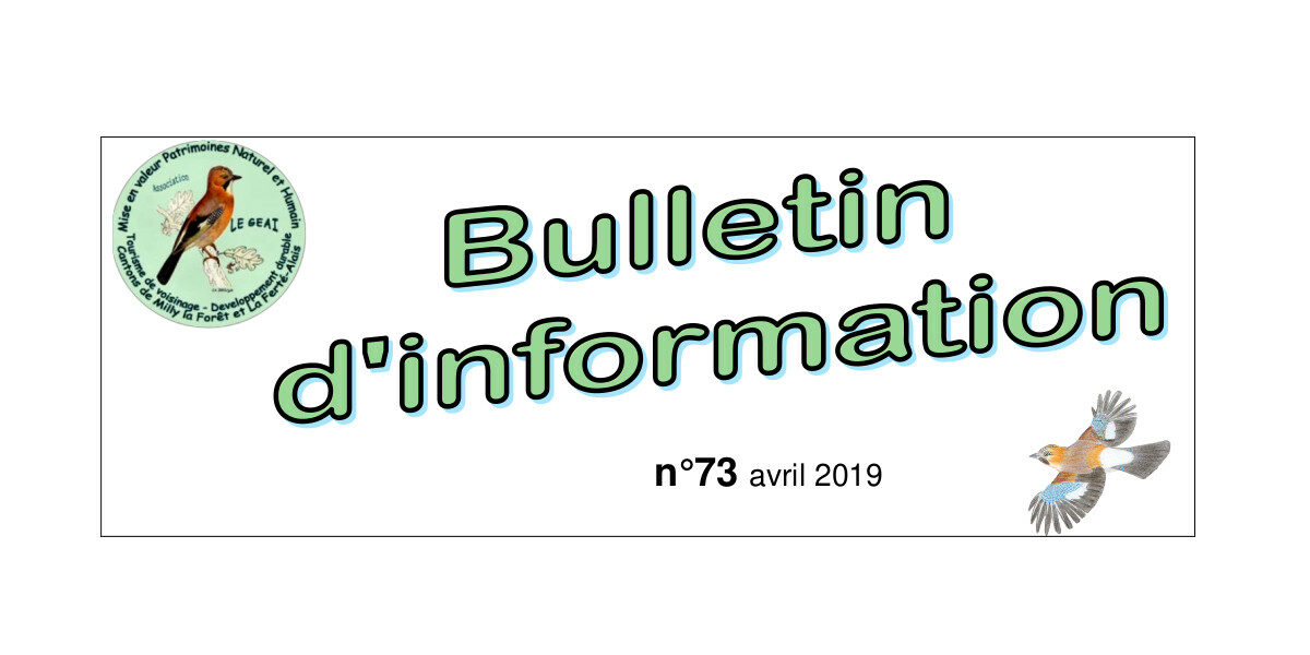 bulletin d'information n°73 d'avril 2019