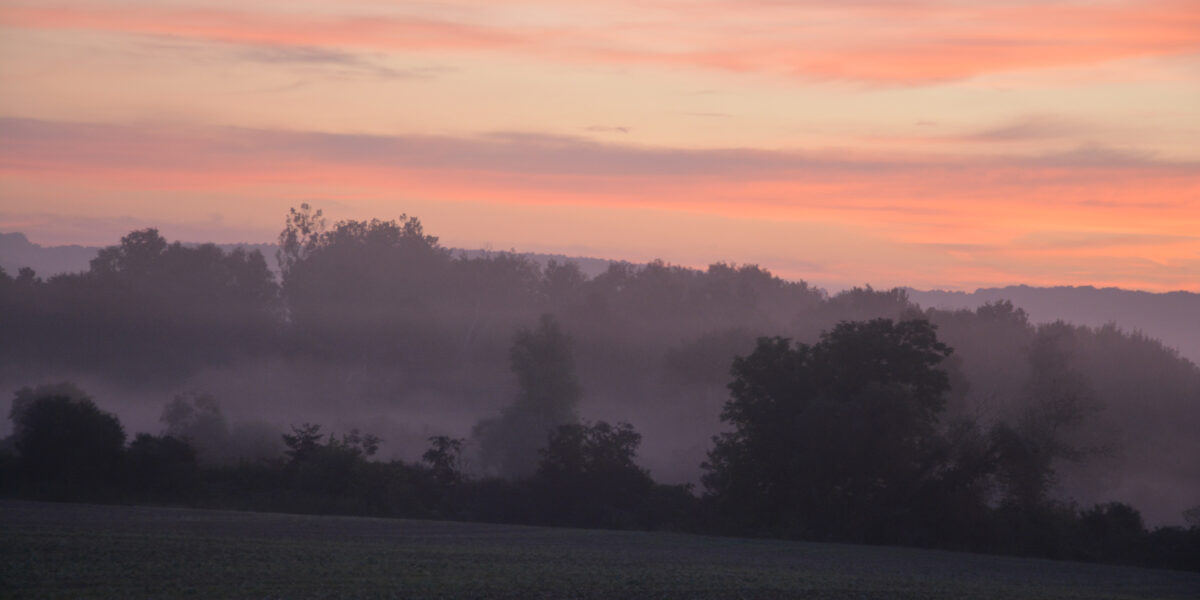 Marais de Jarcy (Le Geai, septembre 2017)