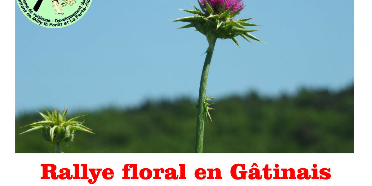 Rallye floral en Gâtinais