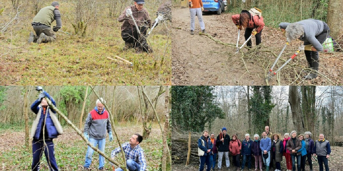 Sortie Orchidées en lumière, février 2023 (Photos Boutigny et P. Bricher)