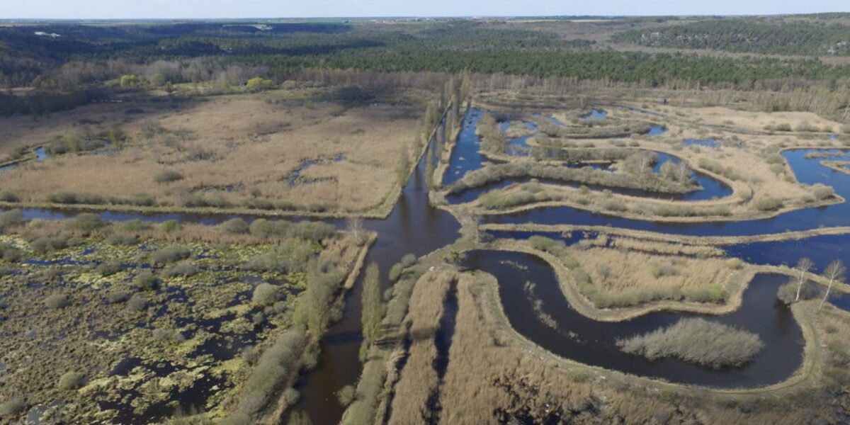 Marais de Larchant (maraisdelarchant.fr)