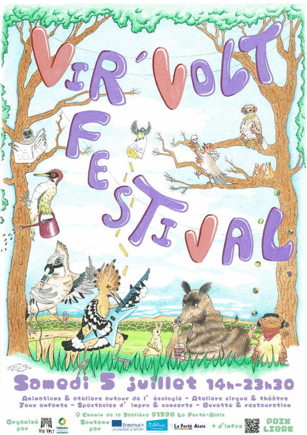Affiche du festival Vir'Volt 2025, samedi 15 juillet 2025 de 14h à 23h30 à la Ferté-Alais.