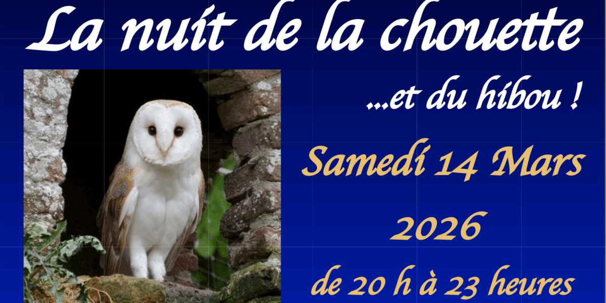 Nuit de la chouette et du hibou le 14 mars 2026 à Boutigny