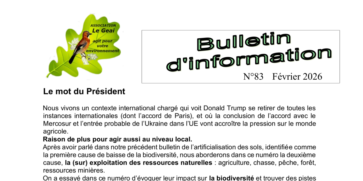 Bulletin d’information n°83 de février 2026